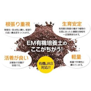 【※3袋以上でご注文下さい※】 ポット用EM有...の詳細画像1