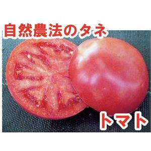 トマト 妙紅（みょうこう）　小袋〈10粒〉　大玉トマト　自然農法種子　無農薬　交配種｜emlabo-shop