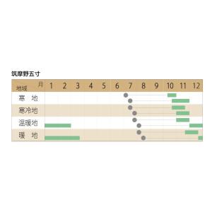 ニンジン 筑摩野五寸小袋〈4ml・約680粒〉...の詳細画像1