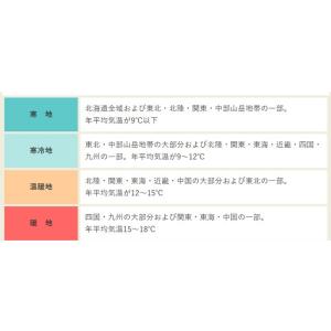 ニンジン 筑摩野五寸小袋〈4ml・約680粒〉...の詳細画像2