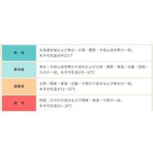 ルッコラ フックラ 小袋〈2ml・約840粒〉...の詳細画像2