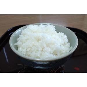 【送料無料】EM土鍋 炊飯くん 3合炊き 萬古...の詳細画像5
