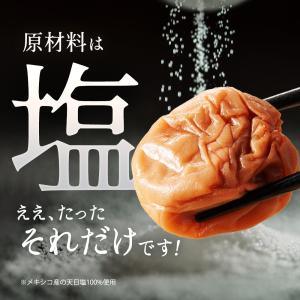竹内農園 梅干し 1kg 無添加 うめぼし 紀...の詳細画像2
