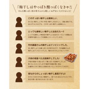 竹内農園 梅干し 1kg 無添加 うめぼし 紀...の詳細画像3