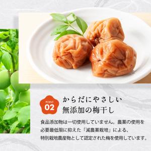 竹内農園 梅干し 1kg 無添加 うめぼし 紀...の詳細画像5