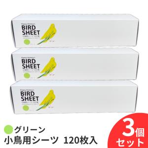 小鳥用シーツ 120枚 3個セット 360枚 グリーン 鳥 シート 小鳥 鳥用 シーツ 120枚入 鳥用品 掃除用シーツ ペットシーツ ペットシート｜emmarket