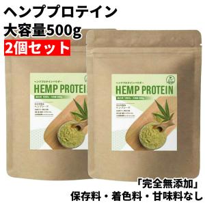 ヘンププロテイン ヘンプパウダー 500g 2個セット カナダ産 無添加 タンパク質 麻の実 プロテイン｜emmarket