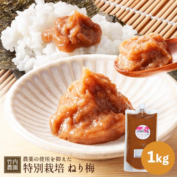 竹内農園 ねり梅 1kg 特別栽培 チューブ 練り梅 無添加 ねりうめ 国産 和歌山産 南高梅 業務...