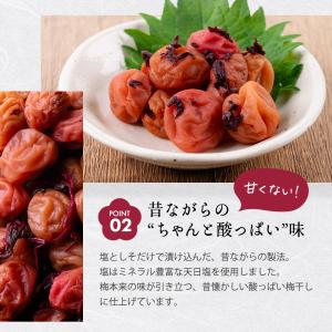 竹内農園 しそ小梅 特別栽培 1kg 紫蘇 小...の詳細画像4