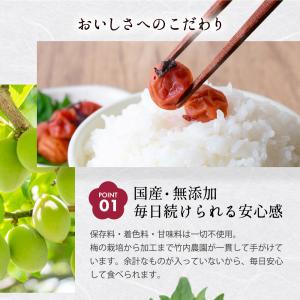 竹内農園 しそ小梅 特別栽培 1kg×2個 紫...の詳細画像3