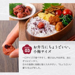 竹内農園 しそ小梅 特別栽培 1kg×2個 紫...の詳細画像5