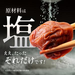 つぶれ梅 紀州南高梅 訳あり 竹内農園 1kg...の詳細画像3