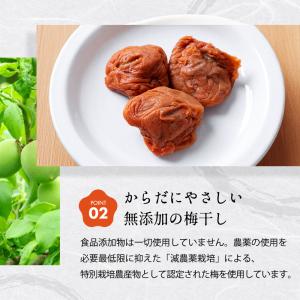 つぶれ梅 紀州南高梅 訳あり 竹内農園 1kg...の詳細画像5