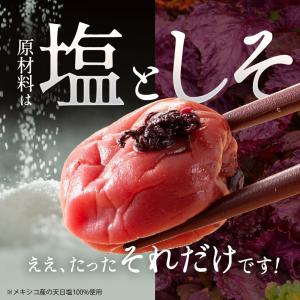 竹内農園 しそ梅干し 1kg×2個 2kg 梅...の詳細画像2