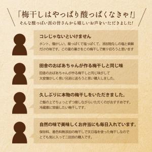 竹内農園 しそ梅干し 1kg×2個 2kg 梅...の詳細画像3