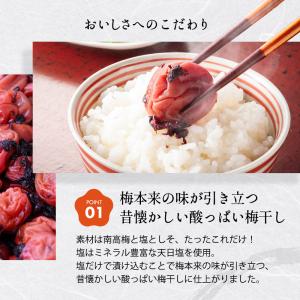 竹内農園 しそ梅干し 1kg×2個 2kg 梅...の詳細画像4