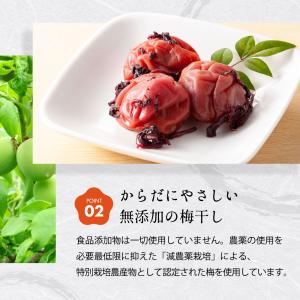 竹内農園 しそ梅干し 1kg×2個 2kg 梅...の詳細画像5