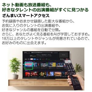 東芝 24V型 液晶テレビ ハイビジョン液晶レ...の詳細画像2