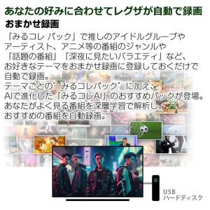 東芝 24V型 液晶テレビ ハイビジョン液晶レ...の詳細画像5