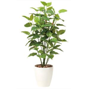 観葉植物 光触媒 造花 アートグリーン ポトス 高さ100cm 0119a 家具通販 インテリアショップ Arne 通販 Yahoo ショッピング