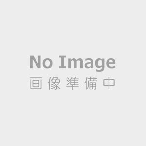 ダイキン 空気清浄機用 抗菌HEPAフィルター BAFP105A41【100サイズ】｜emon-shop
