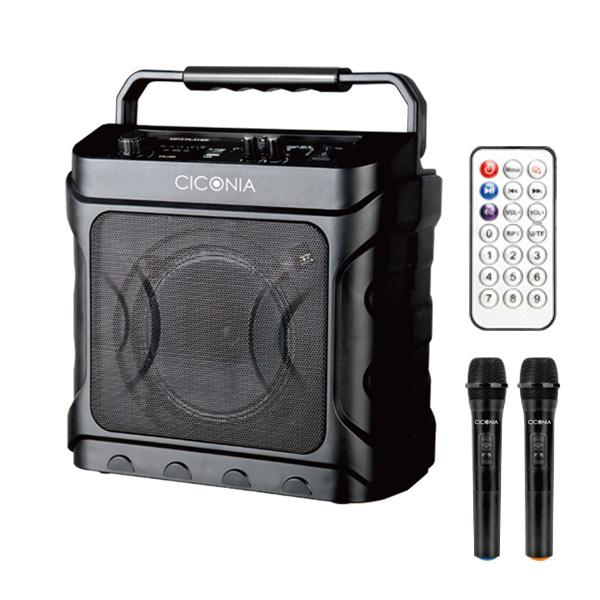 CICONIA チコニア デスクトップスピーカー CDD160A【80サイズ】