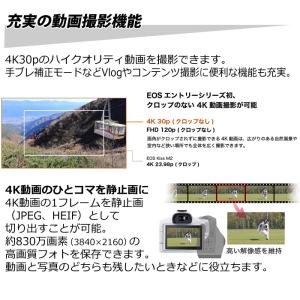 キヤノン カメラ EOS R50 RF-S18...の詳細画像4