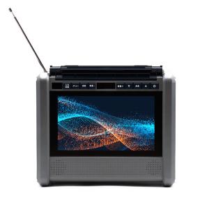 ダイニチ電子 10インチテレビ搭載ポータブル電源 パワーステーションTV PSTV-600【100サイズ】