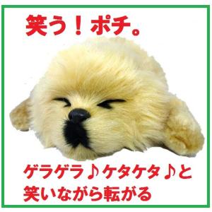 笑い転げる犬 大爆笑！わんわん おもちゃ ペット ぬいぐるみ ワンコ かわいい 爆笑 プレゼント ギフト 癒し プレゼント