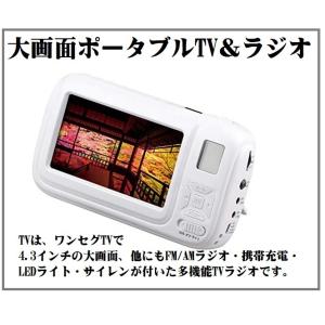 TV付きラジオ 大画面ポータブルTV＆ラジオ SV-6926 コンパクト FM/AMラジオ 携帯充電...