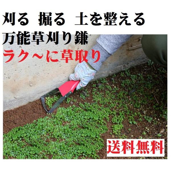 刈る 掘る 土を整える 万能草刈り鎌 ラク〜に草取り SV-6971 横刃で長い草、雑草を刈ることが...