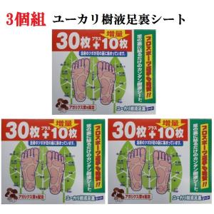 3個組 アガリクス茸配合 ユーカリ 樹液 足裏...の詳細画像1