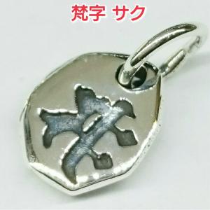 K14コイン付(普賢菩薩・梵字アン)シルバー925リング・辰年、巳年専用 梵字守護神ペンダントトップ :（アン・辰/巳・普賢菩薩）：辰/巳