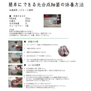 PSB培基 200ml 20L培養分 光合成細...の詳細画像1