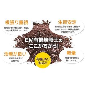 種まき用EM有機培土 50L 3袋 【有機JA...の詳細画像1