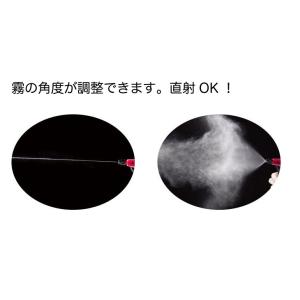 ダイヤスウィングスプレー 525(カラー・緑)...の詳細画像2