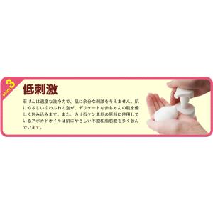 シャボン玉石けん ベビーソープ泡タイプつめかえ...の詳細画像5