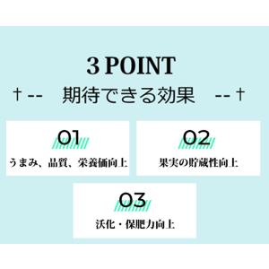 PSB培基 100ml 10L培養分 光合成細...の詳細画像3