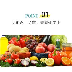 PSB培基 100ml 10L培養分 光合成細...の詳細画像4