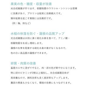 PSB培基 100ml 10L培養分 光合成細...の詳細画像5