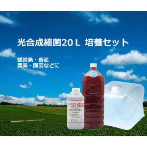 光合成細菌10L 培養セット沖縄、発送不可 P...の詳細画像1