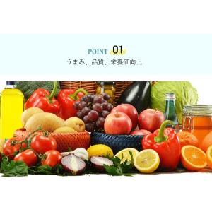 光合成細菌10L 培養セット沖縄、発送不可 P...の詳細画像3