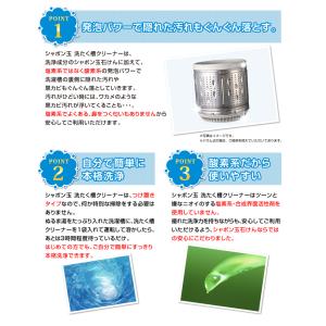 シャボン玉石けん 洗たく槽クリーナー 500g...の詳細画像2