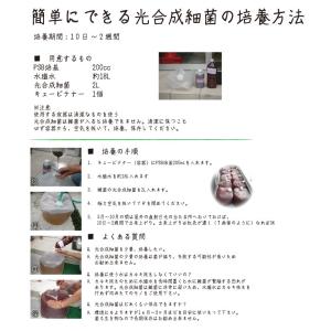 法人限定・PSB培基 1L 2本セット 光合成...の詳細画像2