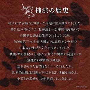柿渋 塗料 無臭 柿多冨 カキタフ 染料 プレ...の詳細画像2