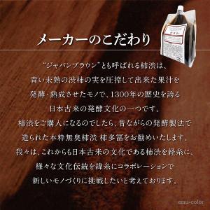 柿渋 塗料 無臭 柿多冨 カキタフ 染料 プレ...の詳細画像5