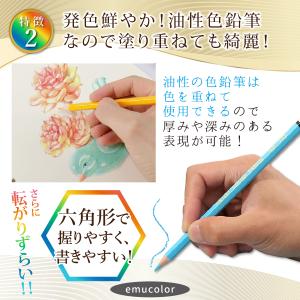 色鉛筆 120色 セット 油性 プレゼント 収...の詳細画像4