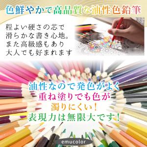 色鉛筆 48色 セット 油性 プレゼント 子供...の詳細画像2