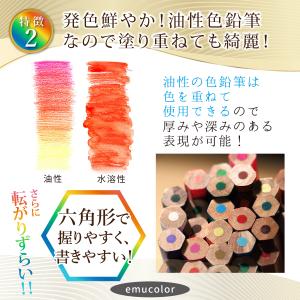 色鉛筆 48色 セット 油性 プレゼント 子供...の詳細画像4