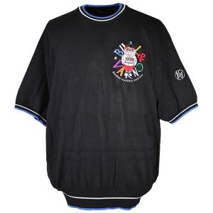 BARNI VARNO（バーニヴァーノ） (3L) 半袖 セーター 2026新作 春夏